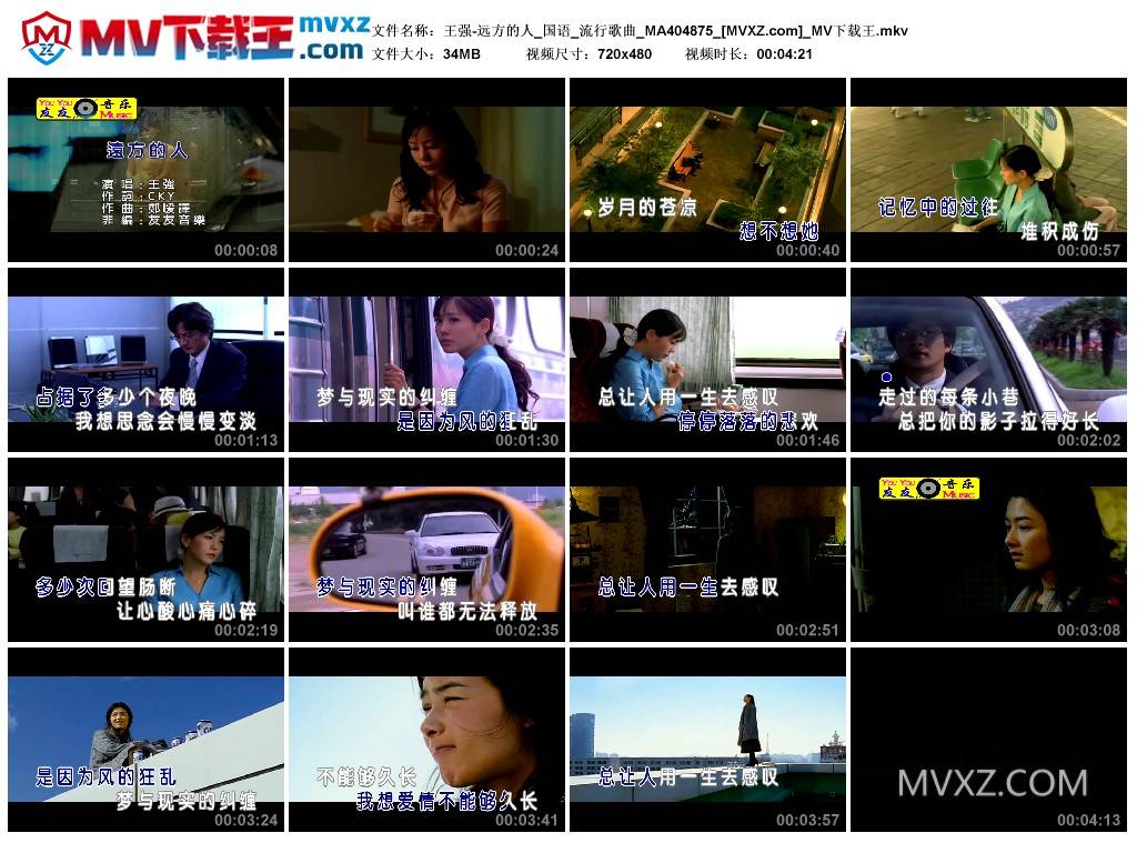 王强-远方的人_国语_流行歌曲_MA404875